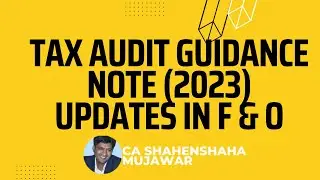 Tax Audit Guidance Note (2023) updates in F & O