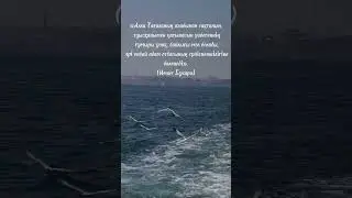 Хадис. Туысқандық қарым қатынас #құран #иман #құранаяты #сүре #сира #ұстаз #аср #наср #ықылас