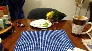 Bless her pea-pickin heart