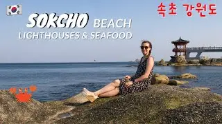 Sokcho Beach, Lighthouses, & Seafood Travel Vlog 🦀 🏖️ | 10+ Things to do in Sokcho, Korea 🌊