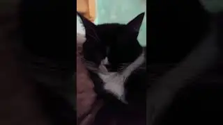 Андрюш ты что такой кислый сидишь 