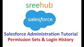 14 Salesforce Administration - Permission Sets & Login History