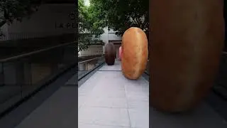 🍩 What about a big donut? 