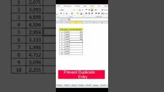 Prevent duplicate Entry in Excel