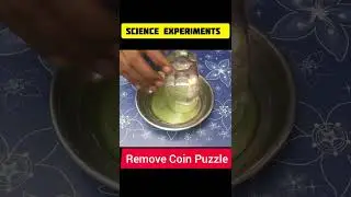 Science puzzles | Science Exhibition #shorts #shortsfeed