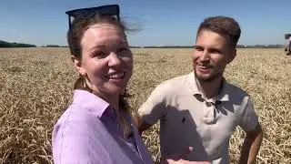 Как выбрать семена озимой пшеницы? ООО Агро, Тутов Артем о семенной пшенице 🌾Скоро полный выпуск 💪