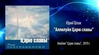 Юрий Шпак, 