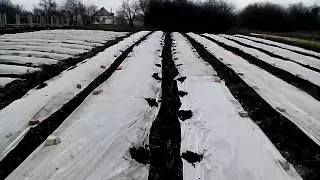 Завершение осенних работ.
