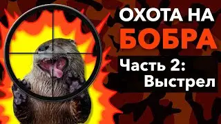 Охота на Бобра с Арбалетом. Mainhunter Doom.
