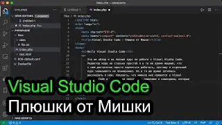 Visual Studio Code - плюшки от Мишки