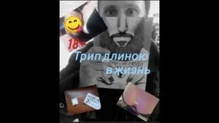 Трип длиною в жизнь А-ПВП