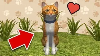 СИМУЛЯТОР КОТА и КОШКИ, охотимся на МЫШКУ