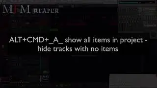 CUSTOM ACTION 12: "CMD+ALT+A" Show ALL items in project - hide tracks with no items