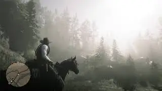 Red Dead Redemption 2