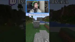 Making a Statue #twitch #minecraft #building