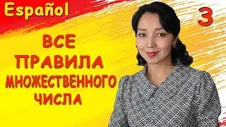 3. Учу испанский. Множественное число