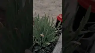 В ожидании 😍 