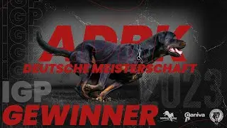 ADRK 71. Deutsche Meisterschaft 2023 // Winner // Working-Dog // Luis vom Eisernen Kreuz