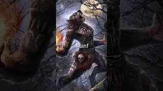 Qaysi sinf zo'r