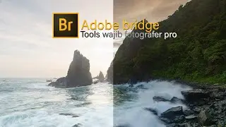 Adobe Bridge | Must-have tools for professional photographers