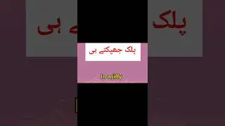 Urdu to English translation of daily use sentences #youtubeshorts #urdutranslation #phrases