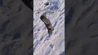 Делись давай😆