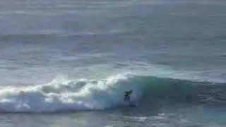 Surfer