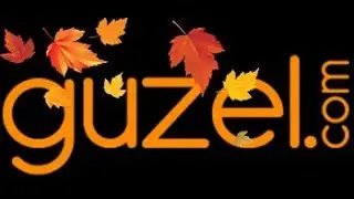 Steam Quick Multi Buharlı Ütü Testi