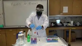National Chemistry Week Demos: pH of household items