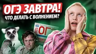 День до ОГЭ по биологии. Как настроиться на экзамен? | Биология ОГЭ 2023 | Умскул