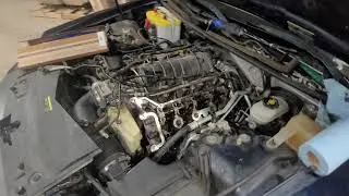 05 STS V8 RWD Valve Cover Gaskets