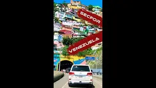 SECFOR Venezuela - Executive Protection
