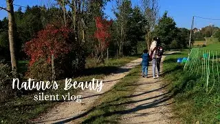 Building my MINI Kitchen Island | Short visit to the Reindeer | Cooking Corn Cake | #simplychris