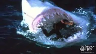 Megalodon Shark Attacks Diver Off Thailand Coastline Reaction
