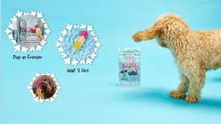 PUP ICE