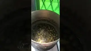 Варю варенье из сосновой шишки