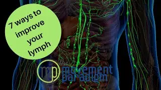 7 WAYS TO IMPROVE YOUR LYMPHATIC SYSTEM I BEGINNER LYMPH DRAINAGE