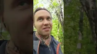 В цепких лапах глобалистов: пан*емия, война, голод