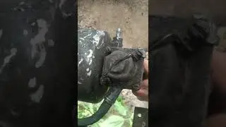 РАФ 2203 и.т.д.