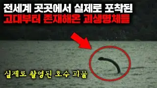 전세계 곳곳에서 실제로 포착된 고대부터 존재해온 괴생명체들 | 8월의 몰아보기