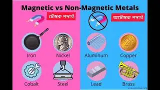 পরিবেশ ও বিজ্ঞান  : Unit 1.3 চুম্বক/ Class 7