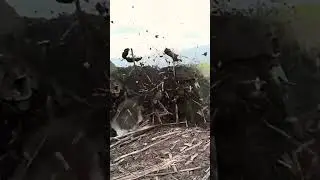 Начали полевые работы с дисковки пожарных полос)))