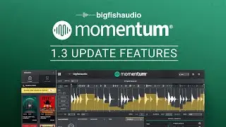 Momentum 1.3 Update Features