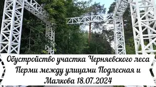 Обустройство участка Черняевского леса Перми между улицами Подлесная и Малкова 18 07 2024