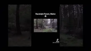Haunted Forest #scarystories #creepy #ghost #horror #paranormal