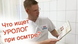Что ищет уролог при осмотре? / Доктор Черепанов