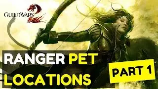 Guild Wars 2 Ranger Pet Locations - Part 1 - GW2 Base Game Pets