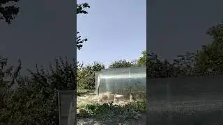 20 августа 2024 г.