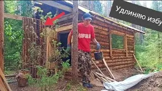 Моя ФИШКА. Отличная идея удлинить ИЗБУ! Домик в лесу из валежника. DIY.