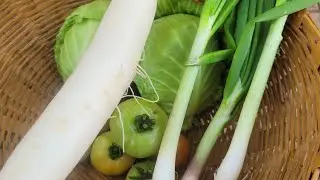 Which vegetable should I make today? I can't understand 🤔.